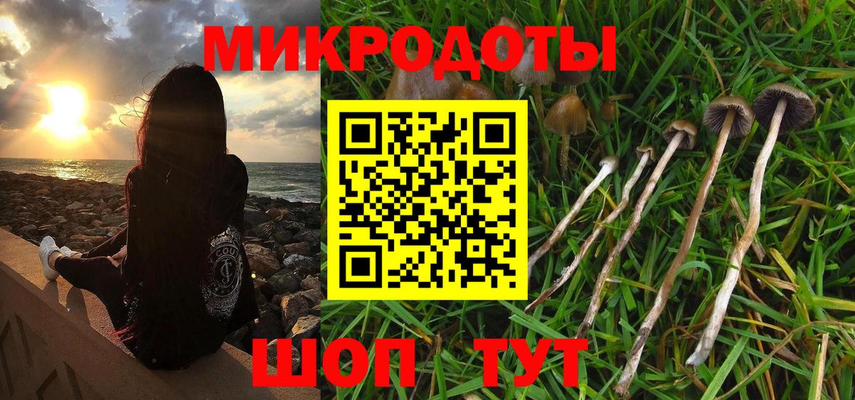 Псилоцибиновые грибы Psilocybine cubensis Куйбышев